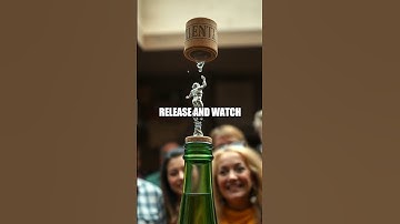 The Cartesian Diver Family Experiment