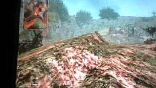 Call of Duty World at War (Wii) Cliffside Glitches