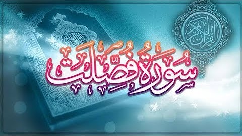 تلاوة خاشعة ومبكية | سورة فصلت بصوت يلامس القلوب