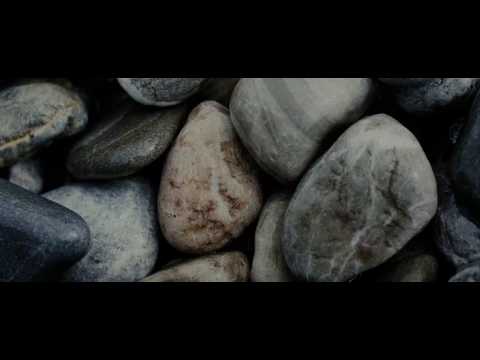C. Diab — C  Diab - Butterflies