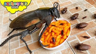 Dino COCKROACH PRANK!! 'Skyheart Toys' funny insects for kids dinosaurs