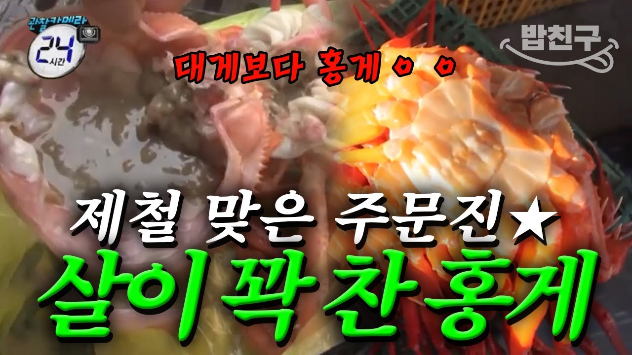 [#밥친구] 제철 맞은 강릉 주문진에서 꼭 먹야하는 두 가지가 있다?😍 바다 보러가기 딱 좋은 지금!✨ 본격 맛집 추천🤤 | #관찰카메라24시간 130회