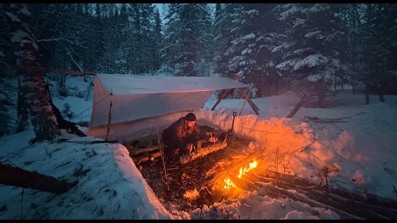 I Found the Perfect Spot in a Frozen Forest and Built a Winter Shelter
