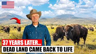 Ted Turner Removed the Fences and Let Bison Take Over — 36 Years Later, the Ranch Was Transformed
