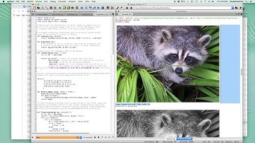 Python 10-3: Pie pants, one size fits all