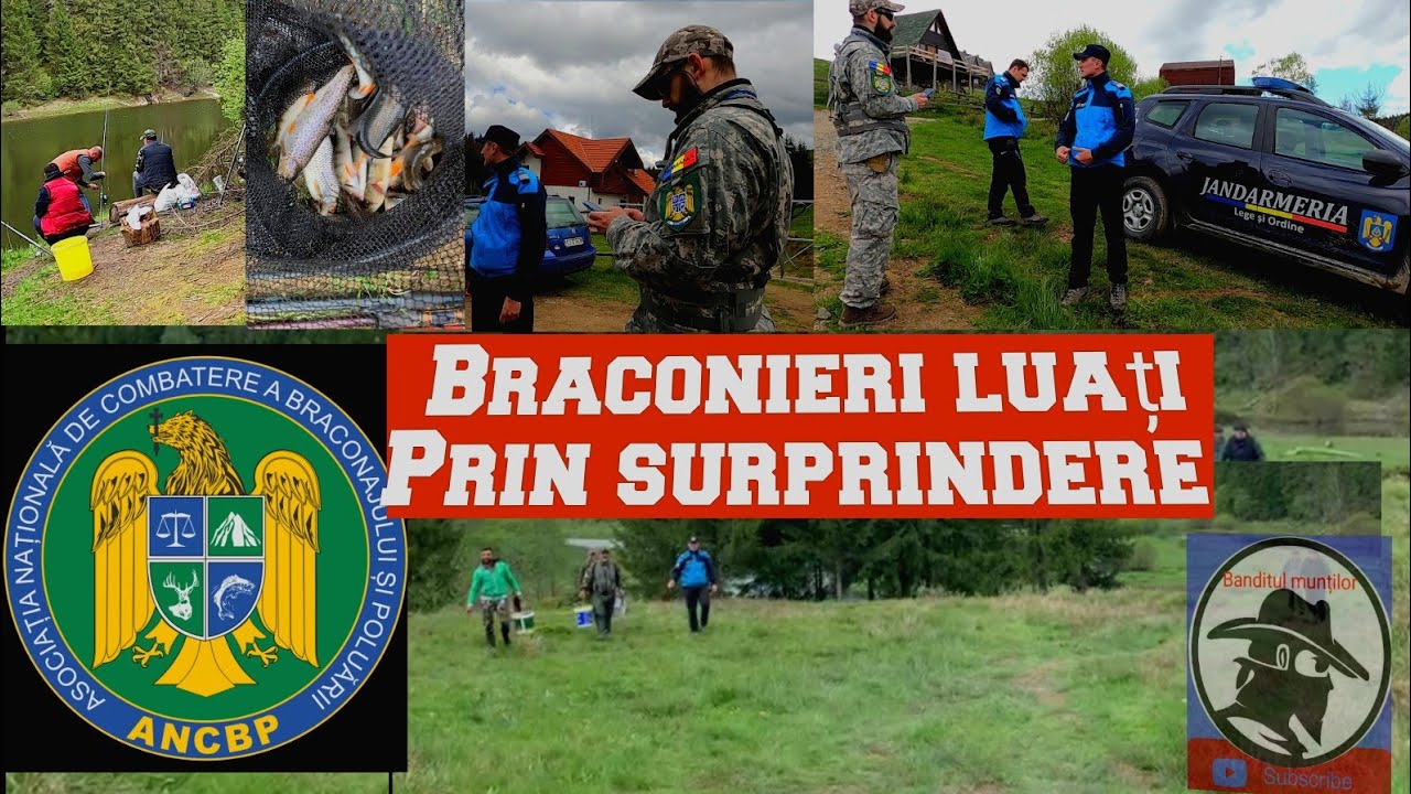 Braconieri luați prin surprindere! ANCBP Cluj!
