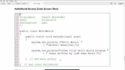 COSC 1315 - How to do and submit Lab 1