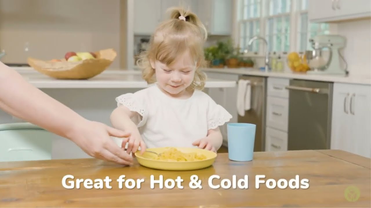 Toddler Plates and Bowls | Top 5 Best Toddler Plates and Bowls set Review