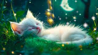 Relax lullaby with forest kitty