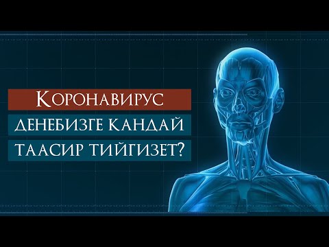 Video: Күч кыймылга кандай таасир этет?