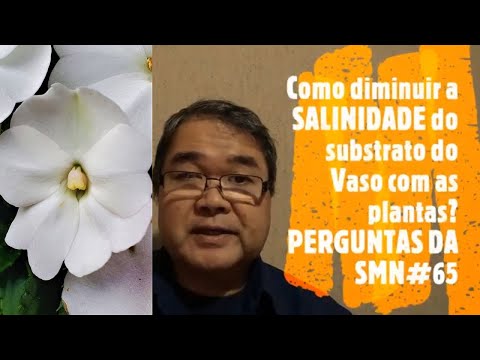 Vídeo: Como reduzir a salinidade dos alimentos?