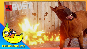 TERMINUS RUST: SURVIVE