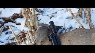 AEA hp max 357 first  deer