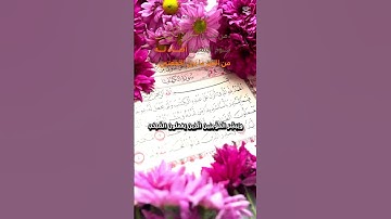 سورة الكهف يوم الجمعة لها فضل عظيم ❤️❤️