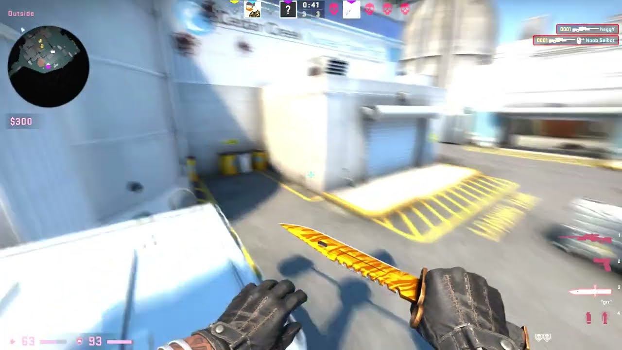 me (author reupload)