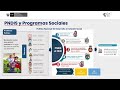 Lección 35 Programa de Especialización