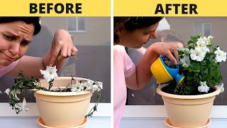 SIMPLE HACKS FOR YOUR INNER GARDENER || 5-Minute Recipes To Regrow Your Plants!