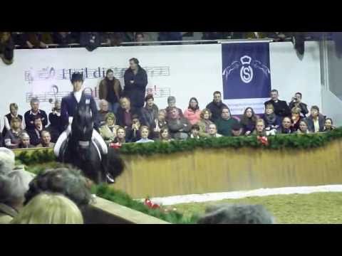 www.reitschule-s...  Totilas Stallion Show Schocke...