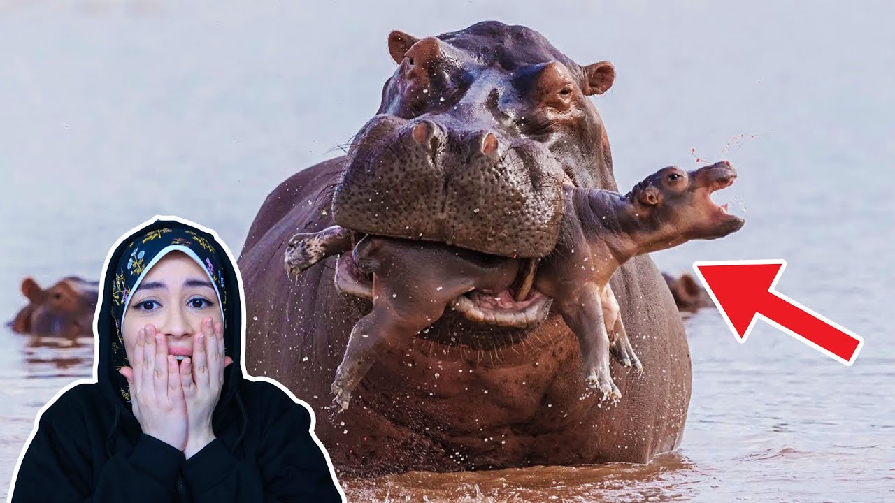 اسوء ام في العالم!!😭😭