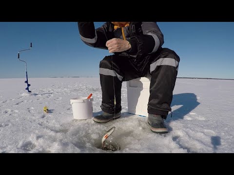 Video: Kadonnut Ja Löydetty: Kun Matka Ei Ole Vastaus - Matador-verkko