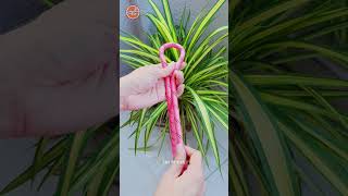 How to tie knots rope diy at home #diy #viral #shorts ep1281