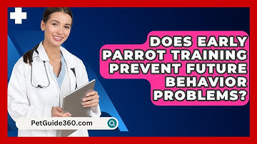 Does Early Parrot Training Prevent Future Behavior Problems? - PetGuide360.com