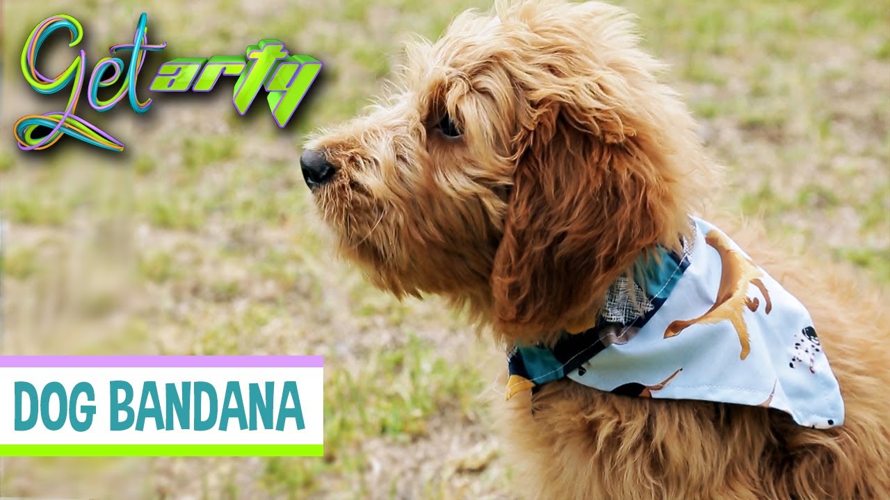 DIY Dog Bandana| GET ARTY | EP59