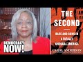 “The Second”: Carol Anderson on the Racist Roots of the Constitutional Right to Bear Arms