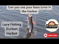 Fishing Durban Harbor with Bass lures #fffoutdoors #durbanfishing