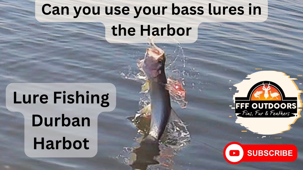 bass fishing lures plastic Motion Fishing | Baby Hawgzilla