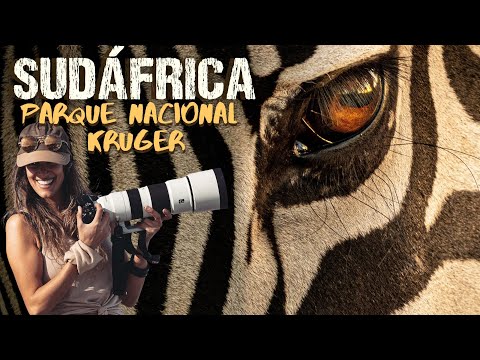 Vídeo: Senders a la natura del parc nacional Kruger: la guia completa