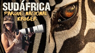 SUDÁFRICA Ep 1 |  Parque Nacional KRUGER 4K