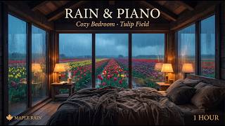 Rain &amp; Piano Music | Rainy Bedroom Tulip Field | Study &amp; Relax Ambience