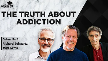 Gabor Maté, Richard Schwartz & Marc Lewis - Rethinking Addiction