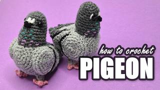 The best pigeon pattern ever (Crochet Pattern/Tutorial)