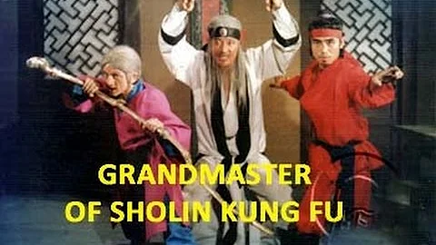 Wu Tang Collection - Grandmaster of Shaolin Kung Fu