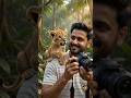 When a Lion Cub Becomes the Photographer! #LionCub #Wildlife #FunnyVideo #AIAvatar #SafariLife