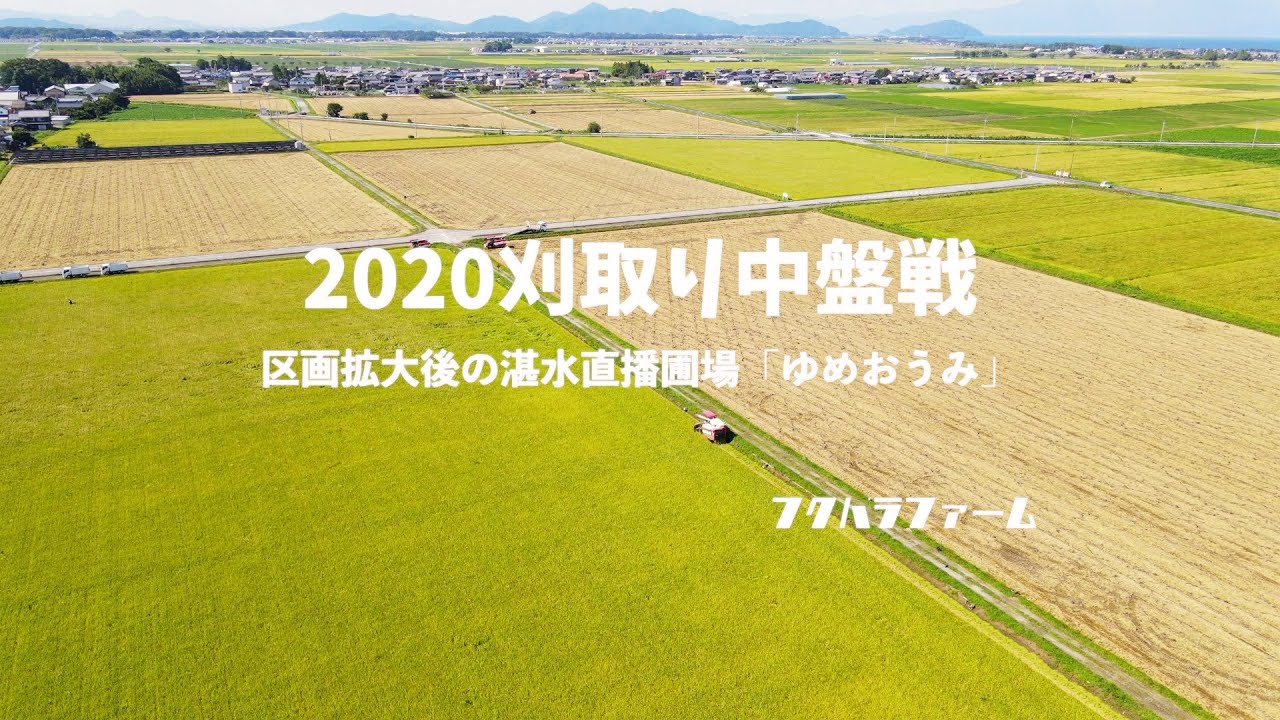 2020刈取り中盤戦