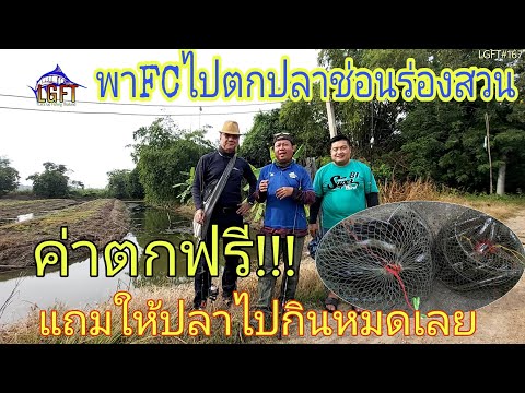 เคล็ดลับกับเจ้เล้ง | ทำอาหารด้วยซอสใหม่ กุบเมนู 4 อย่าง ผัดผักบุ้ง, ผัดผักกระเฉด, แกงส้ม, ปลาสลิดทอด. 