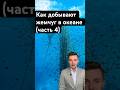 Как добывают жемчуг в океане? Акулы, штормы и риск! 🦈🌊