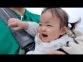 [SUB] 아기를 안고 산에 오른다는 것은....🏔 성산일출봉🏔 (제주 Ep.04🏝) - 생후 13개월👶