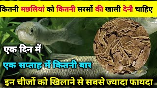 एक दिन में कितनी मछलियों को सरसों  खाली देनी चाहिए | How To Fish Feeding Sarso ki kheli fishfarming