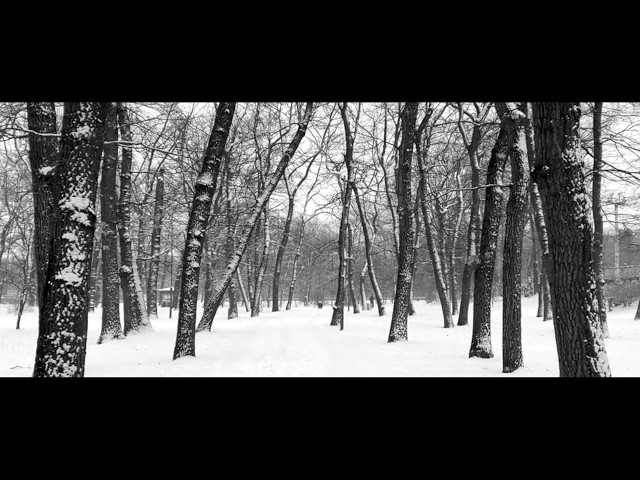 Se - 雪の黙 feat.初音ミク - YouTube