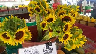 Organic Farmers are here at Saturday Morning Market. Explore Worden Organic Farms Downtown St. Pete