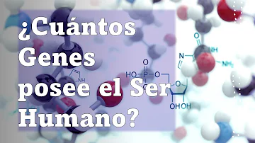 ¿Cuánto ADN compartimos con los gusanos?