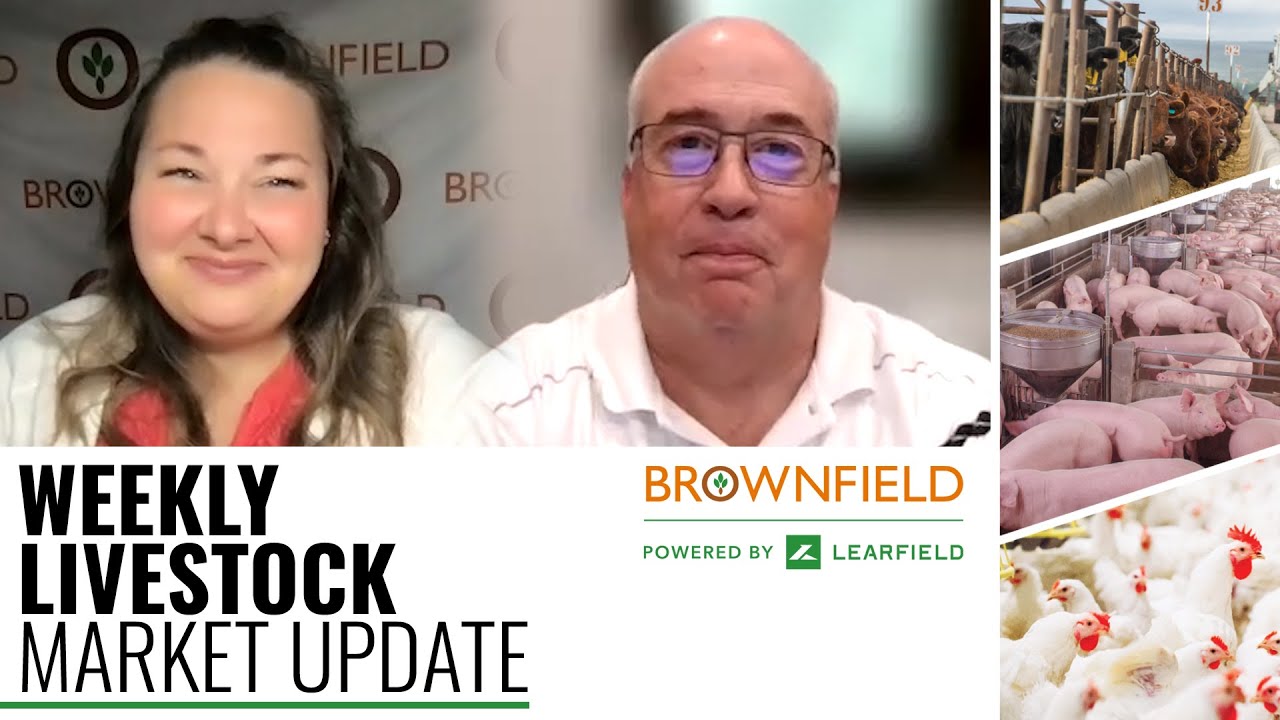 Weekly Livestock Market Update for September 2, 2022 YouTube