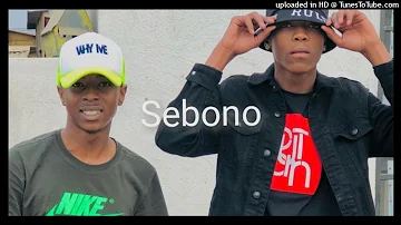 Mellow & Sleazy - Sebono Sa Selina Sa ntlatsa (Official Audio) ft. Mr JazziQ, M.J _ MaTen