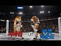 FULL FIGHT | Shiba Inu vs Basset Hound (For UFC Fans) | PAWFC