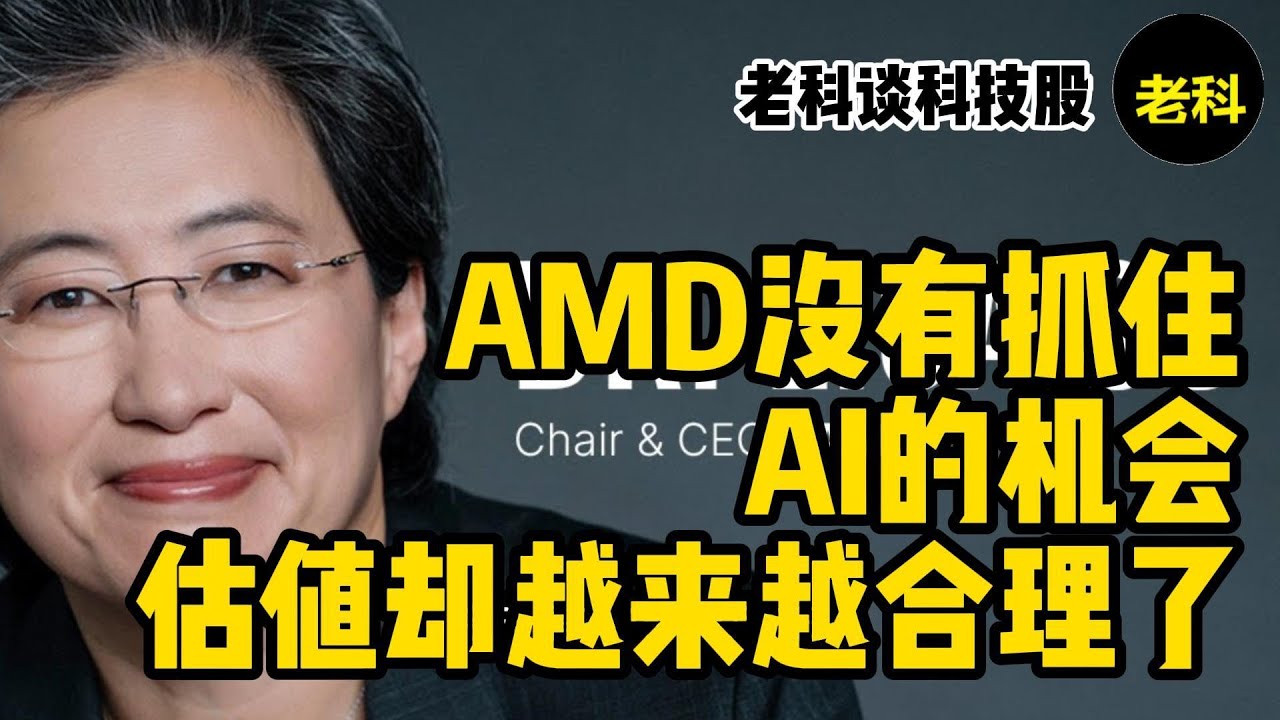 第246期：AMD已经失去了AI的机会，但是估值却越来越合理了。谈谈AMD的2024年4季报财报，如何投资AMD？