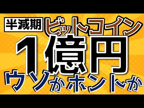 【2024半減期】ビットコインの今後【価格予想のホントと嘘】ストックフローモデルは未だ有効か？